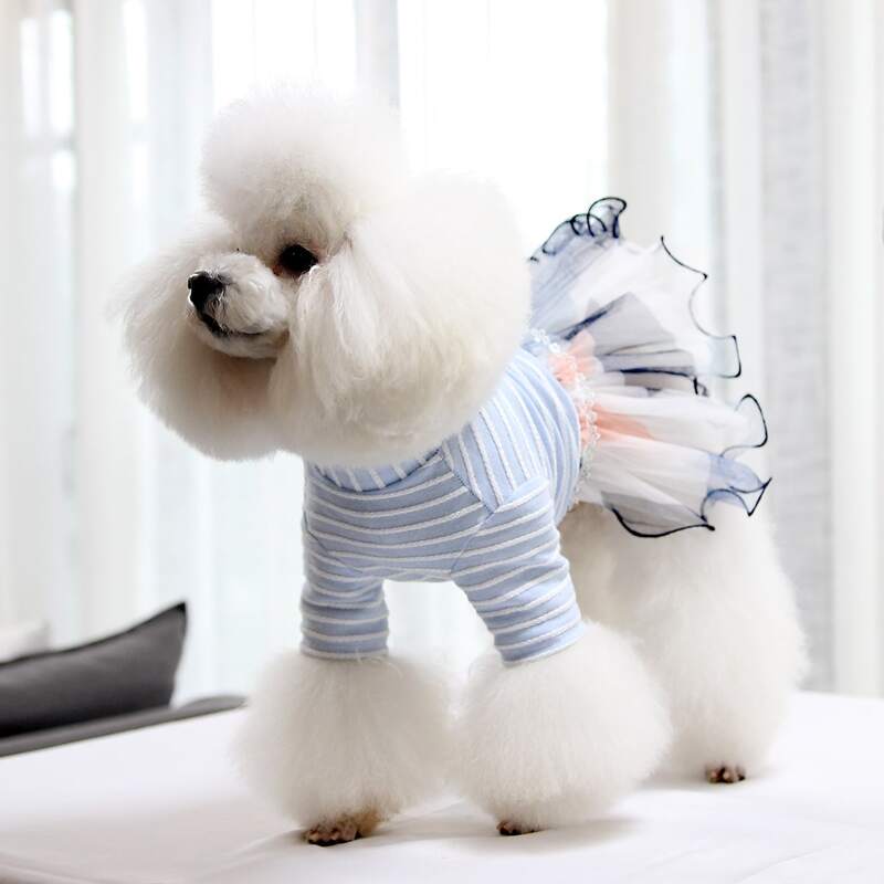 

Contrast Mesh Dog Dress, Blue