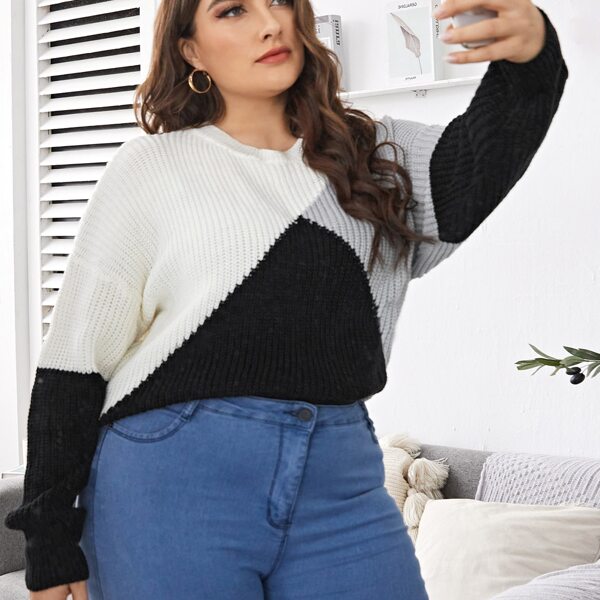 

Plus Contrast Panel Drop Shoulder Sweater, Multicolor