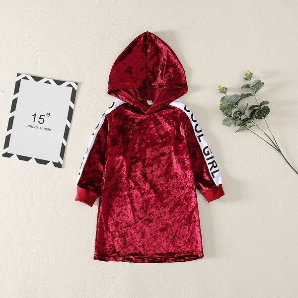

Toddler Girls Letter Graphic Velvet Hoodie Dress, Burgundy