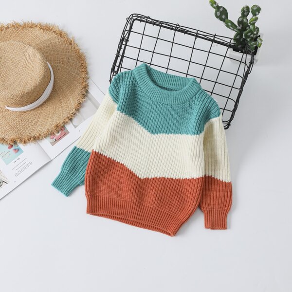 

Toddler Girls Colorblock Ribbed Knit Sweater, Multicolor