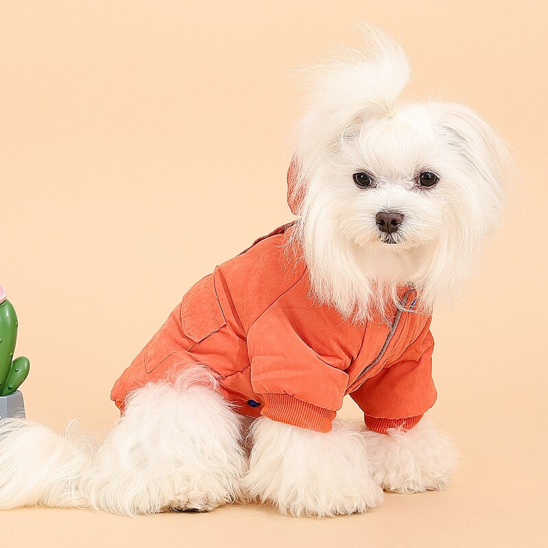 

Hooded Dog Coat, Orange
