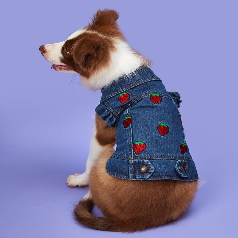 

Strawberry Embroidered Dog Jacket, Blue