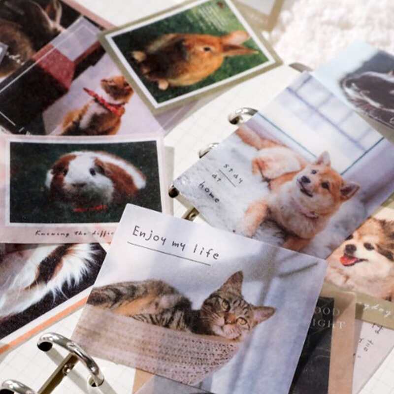 

40pcs Animal Print Random Sticker, Multicolor