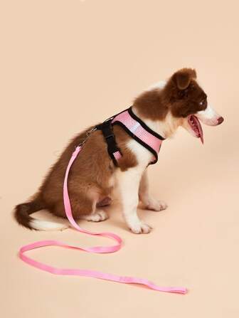 1pc Dog Harness & 1pc Dog Leash