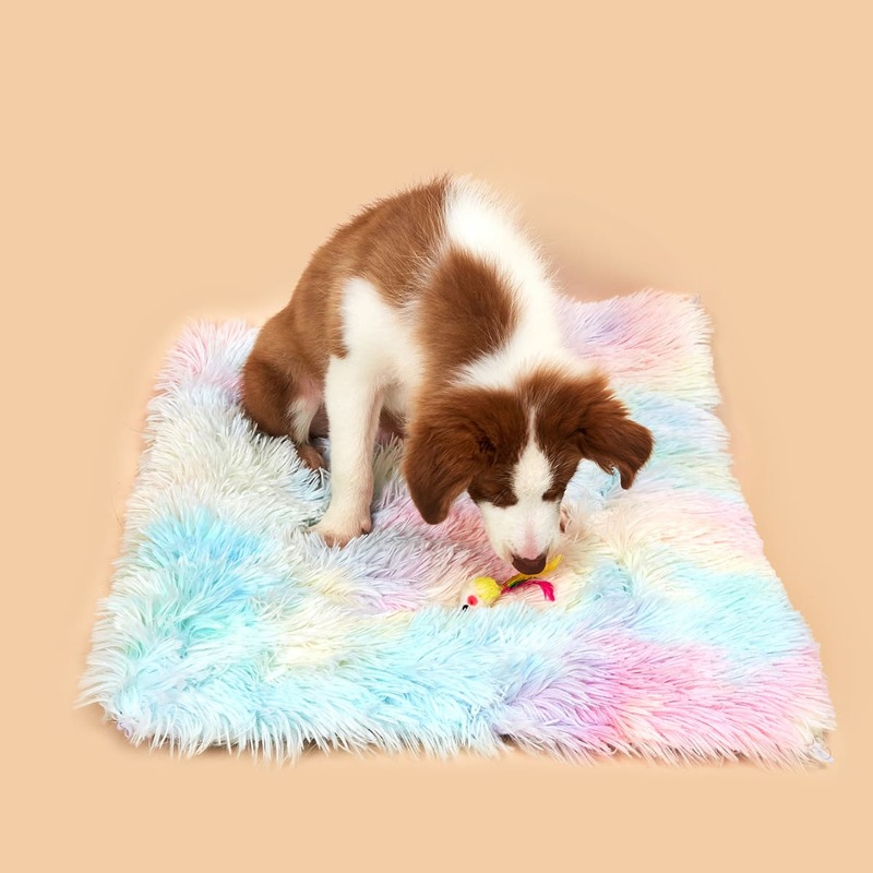 

2pcs Colorful Plush Dog Bed With Toy Set, Multicolor