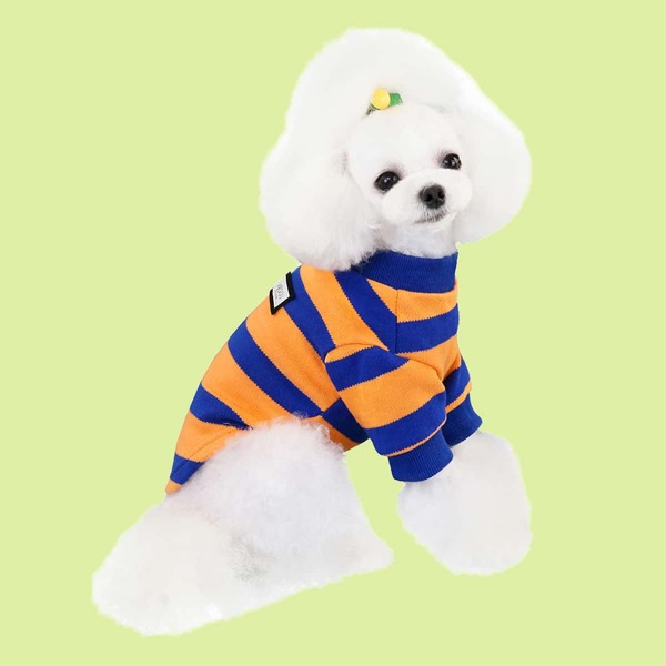

Colorblock Striped Dog Sweater, Burnt orange