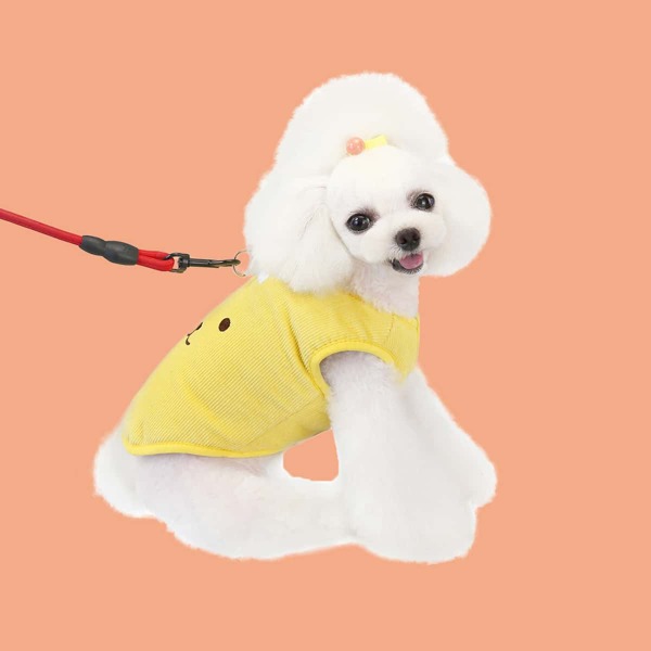

Smile Embroidered Dog Jacket, Yellow
