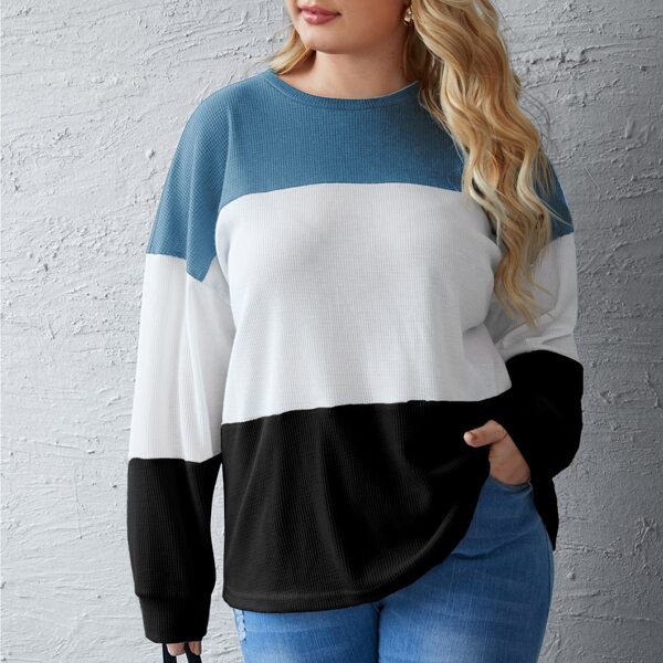 

Plus Colorblock Drop Shoulder Tee, Multicolor