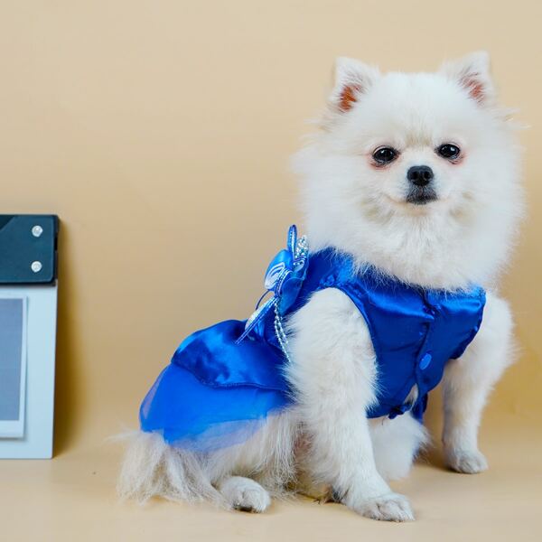 

Contrast Mesh Dog Dress, Blue