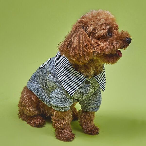

Snap Button Dog Coat, Grey