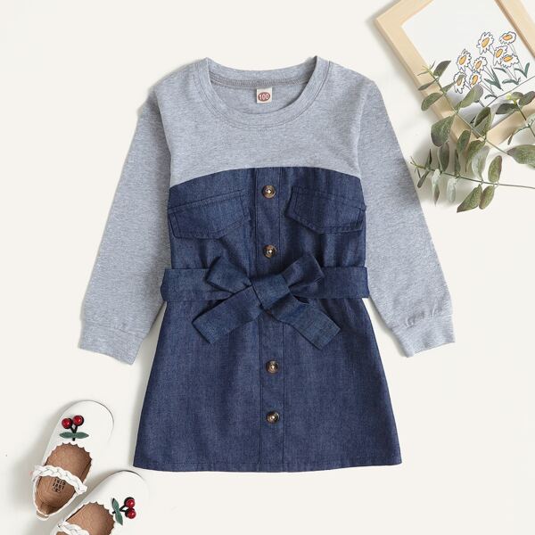 

Toddler Girls Contrast Panel Button Front Belted Dress, Multicolor