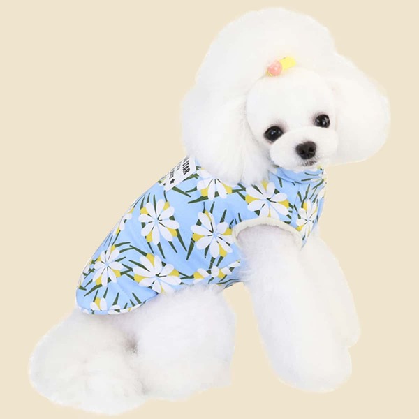 

Flower Print Dog Jacket, Blue