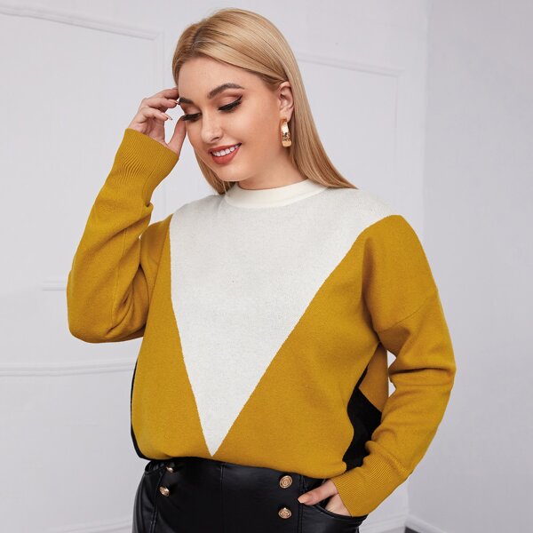 

Plus Color Block Drop Shoulder Sweater, Multicolor