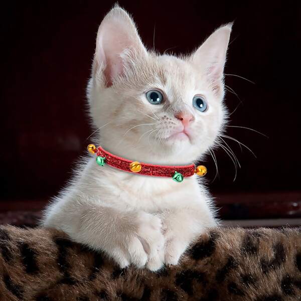 

Christmas Bell Decor Cat Collar, Red
