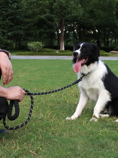1pc Dog Two Tone Reflective Leash
