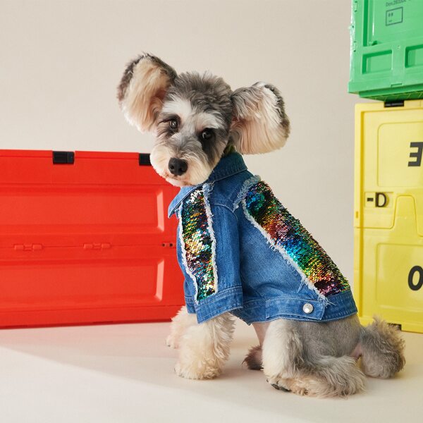 

Sequin Decor Dog Coat, Blue