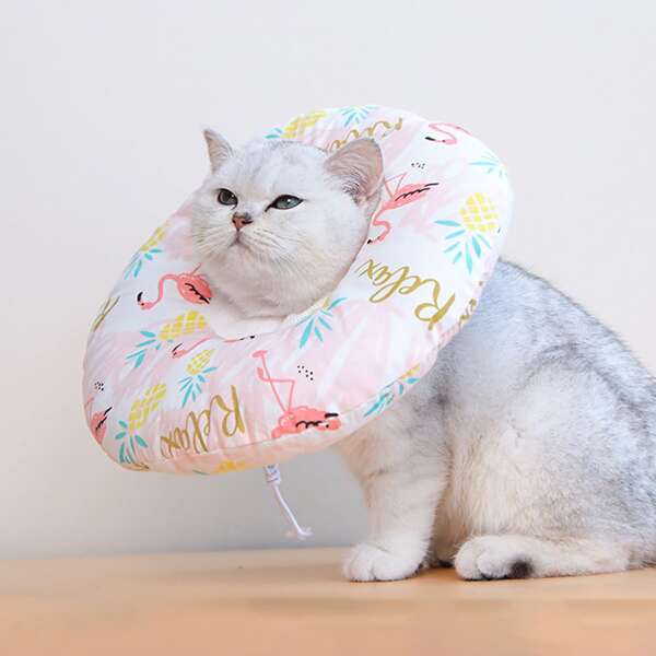 

Flamingo Pattern Cat Elizabeth Collar, Pink