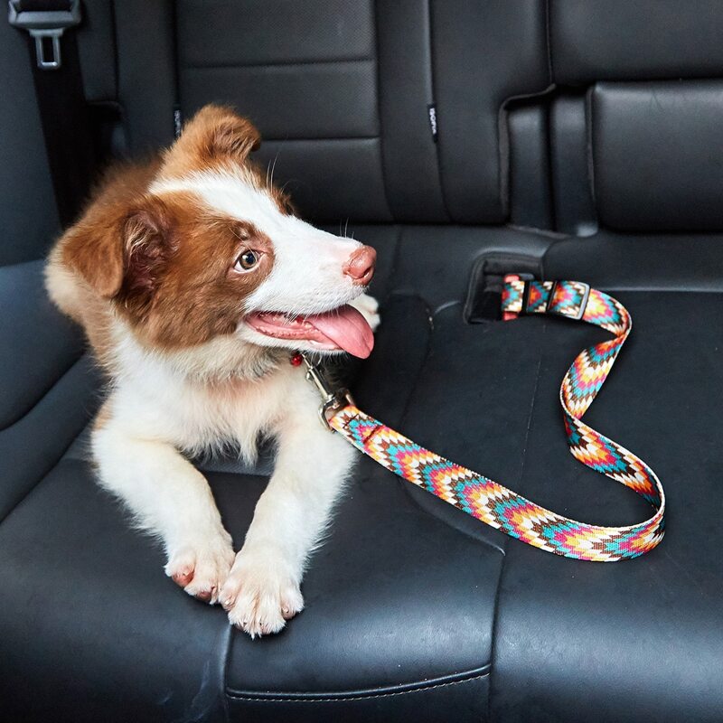 

Colorblock Dog Car Seat Belt, Multicolor
