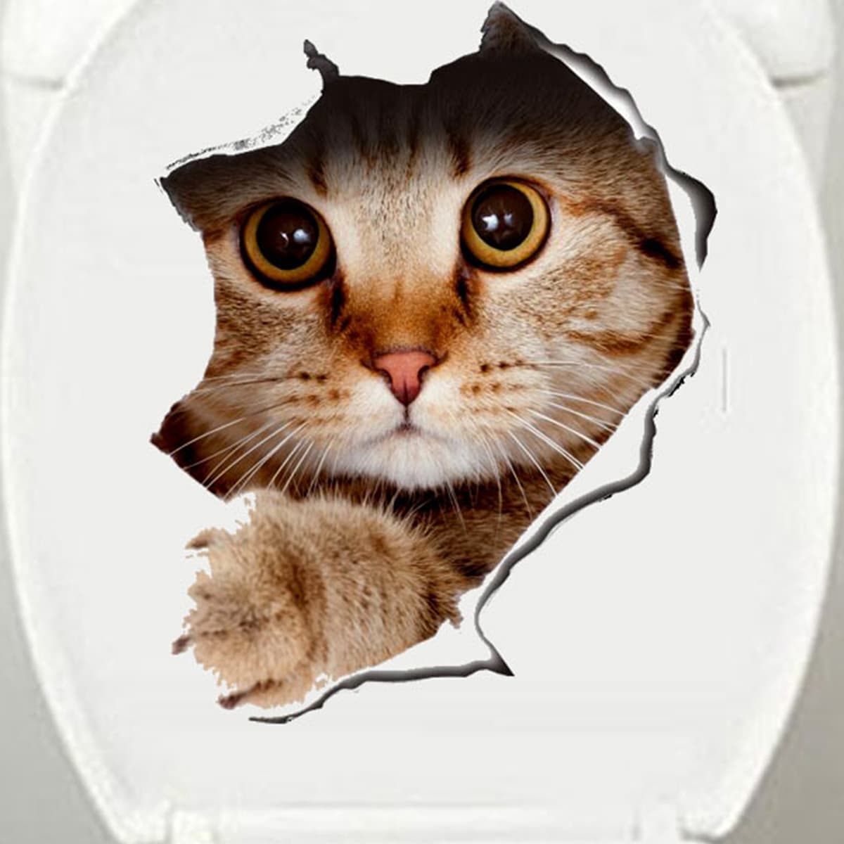 

Cat Print Wall Sticker, Multicolor