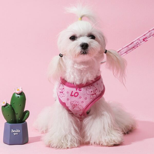 

1pc Cartoon Graphic Dog Harness & 1pc Dog Leash, Pink