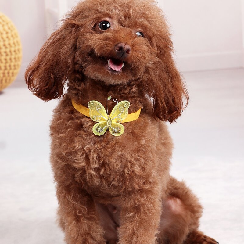 

Butterfly Decor Dog Collar, Yellow