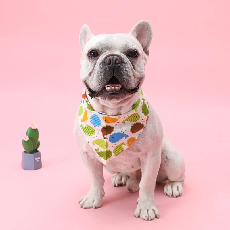 

Cartoon Graphic Dog Bandana, Multicolor