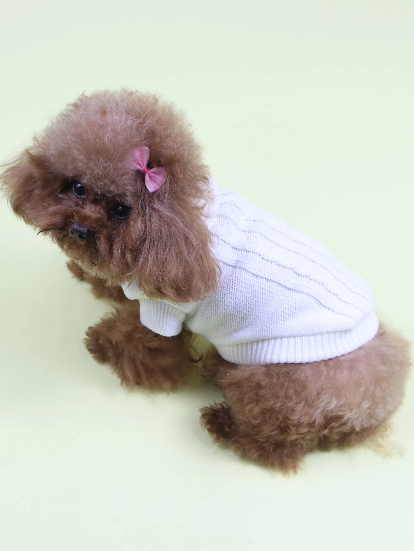 dog turtleneck sweater