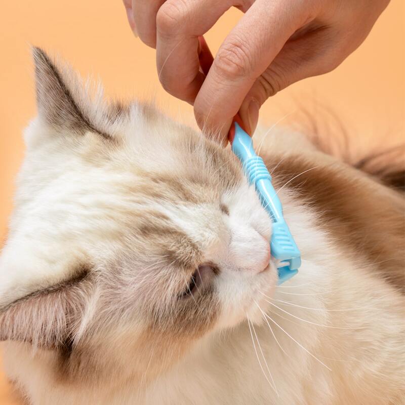 

1pc Three-head Cat Toothbrush, Multicolor
