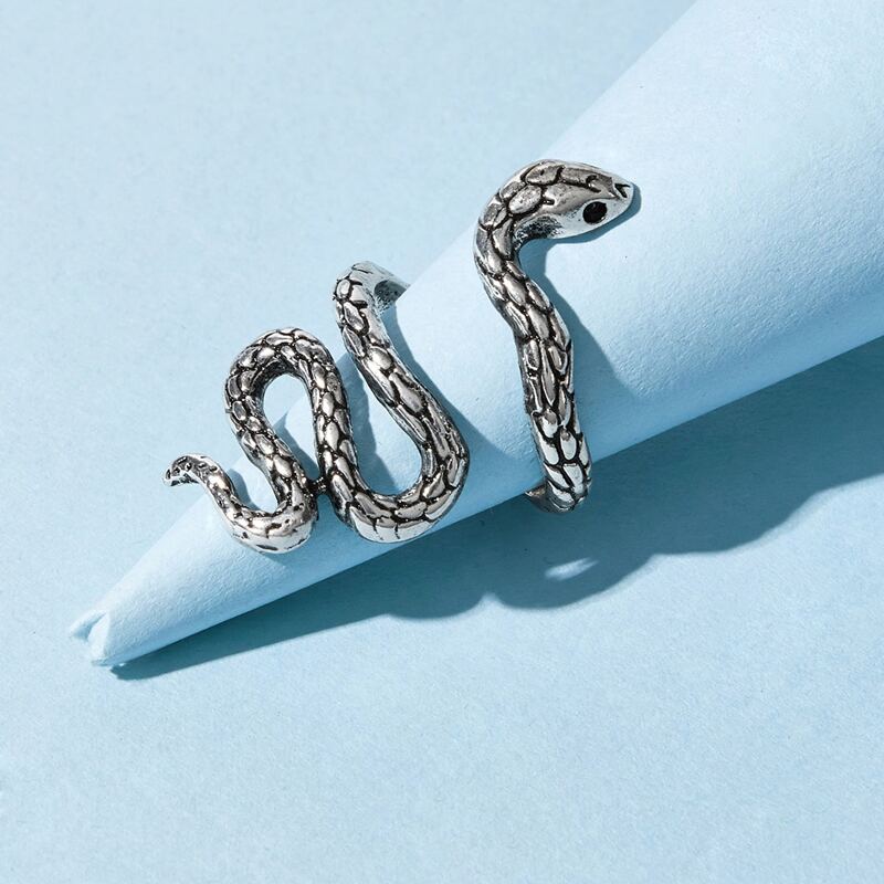 

1pc Snake Ring, Silver