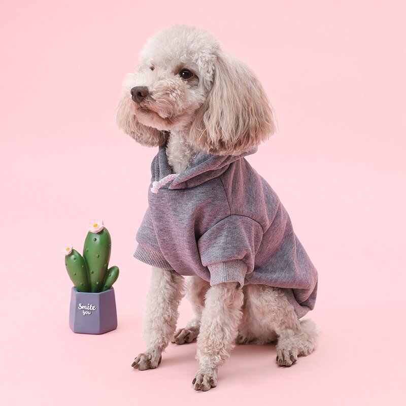 

Solid Dog Hoodie, Grey