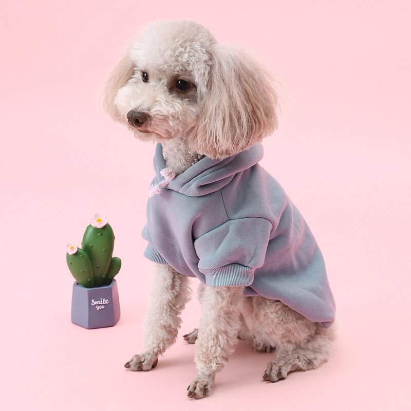 

Solid Dog Hoodie, Blue