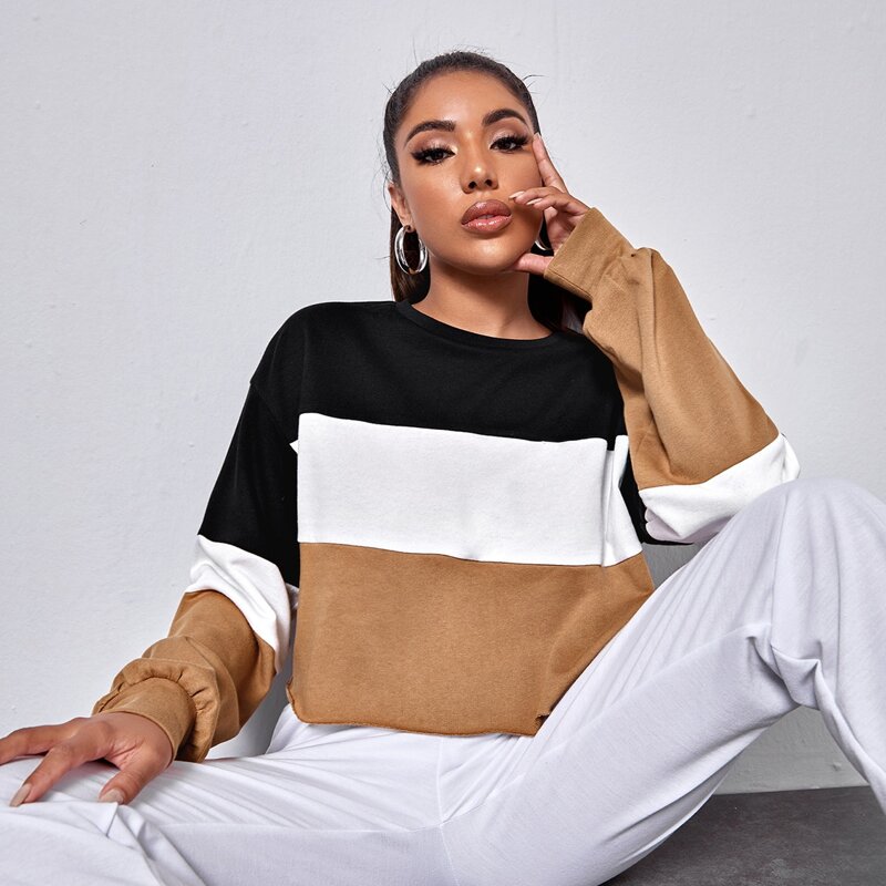 

Drop Shoulder Ripped Colorblock Pullover, Multicolor