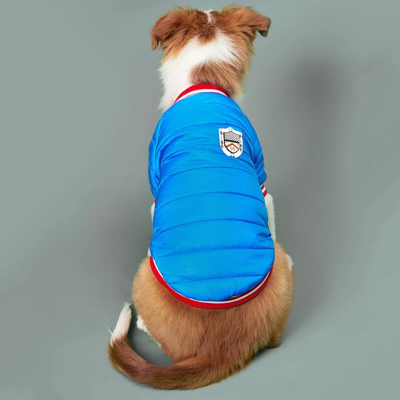 

Snap Button Dog Coat, Blue