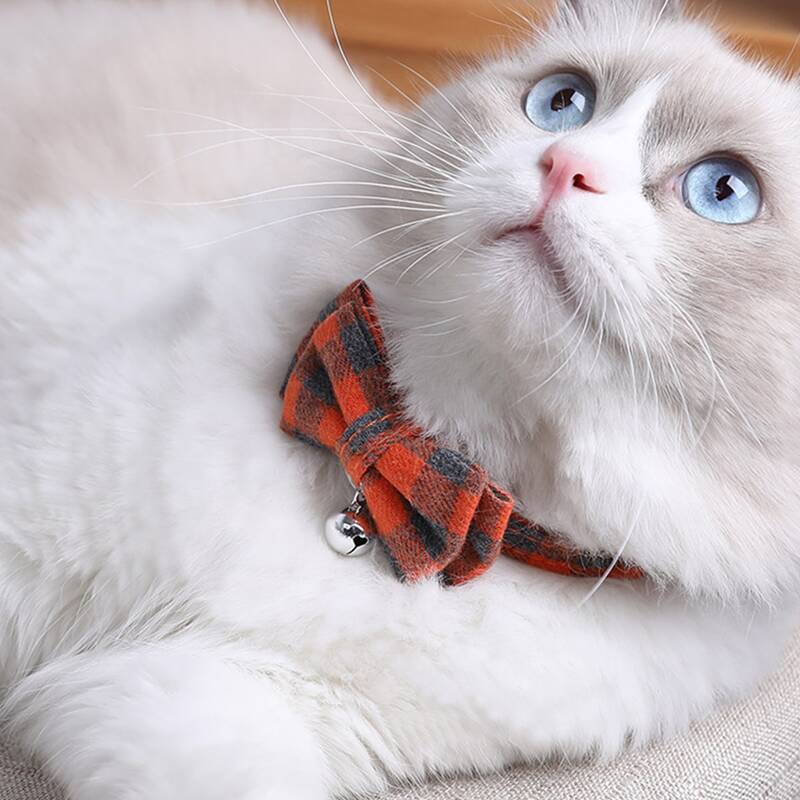 

Bell Decor Plaid Cat Bow, Orange