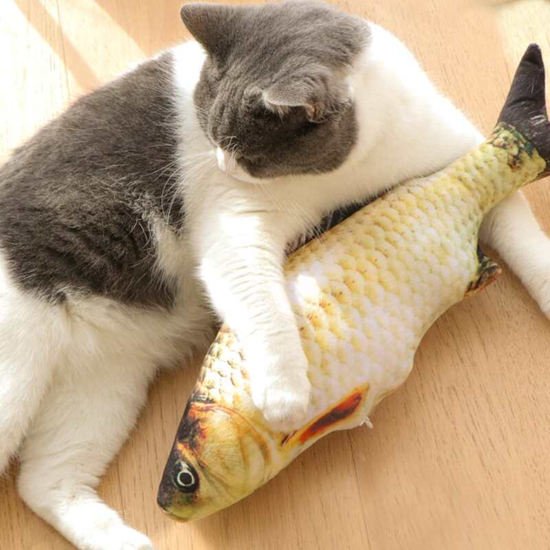 

Fish Shaped Cat Toy, Multicolor