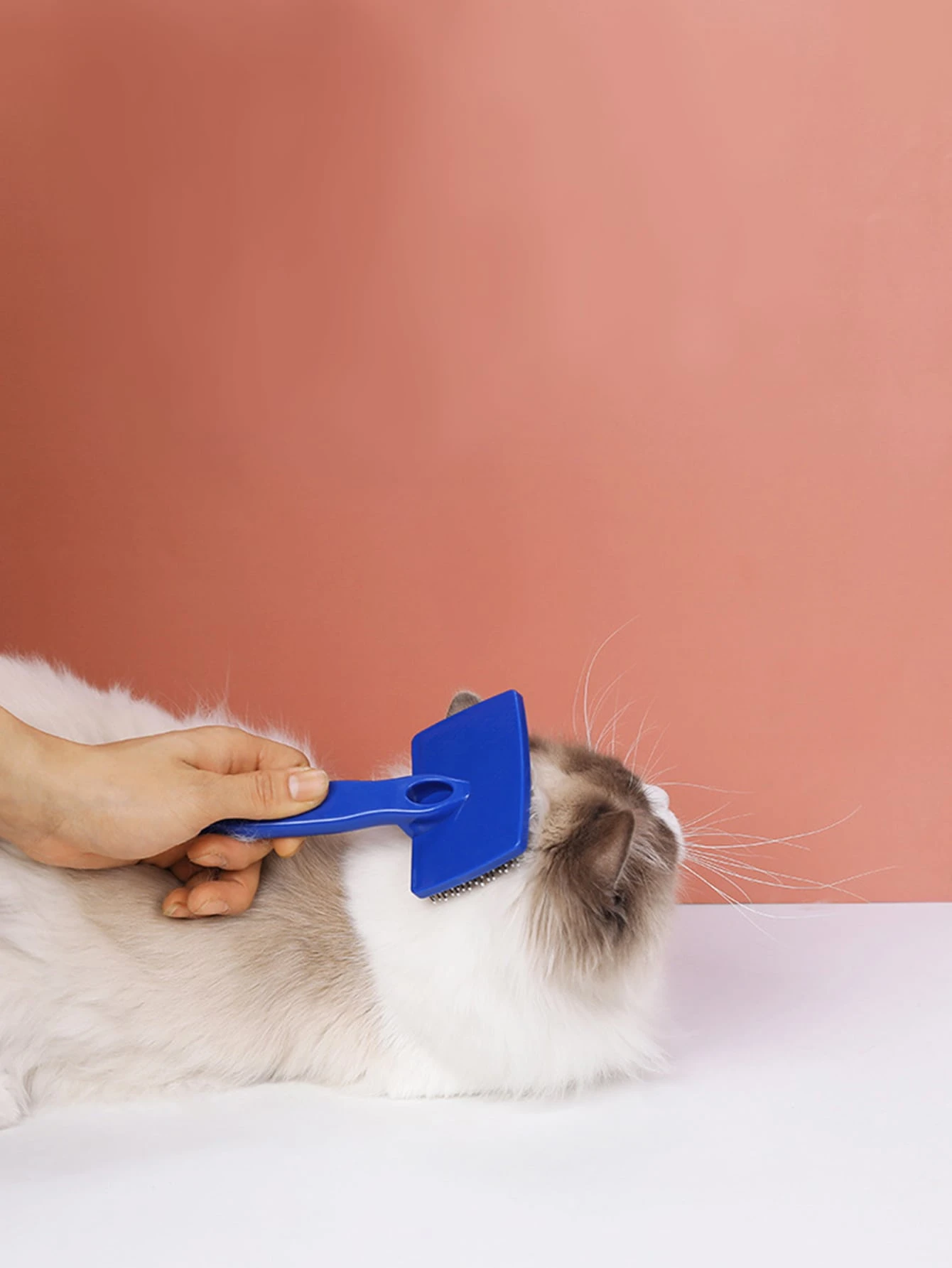 1 Piece Peigne De Toilettage Pour Chat Mode En Ligne Shein France