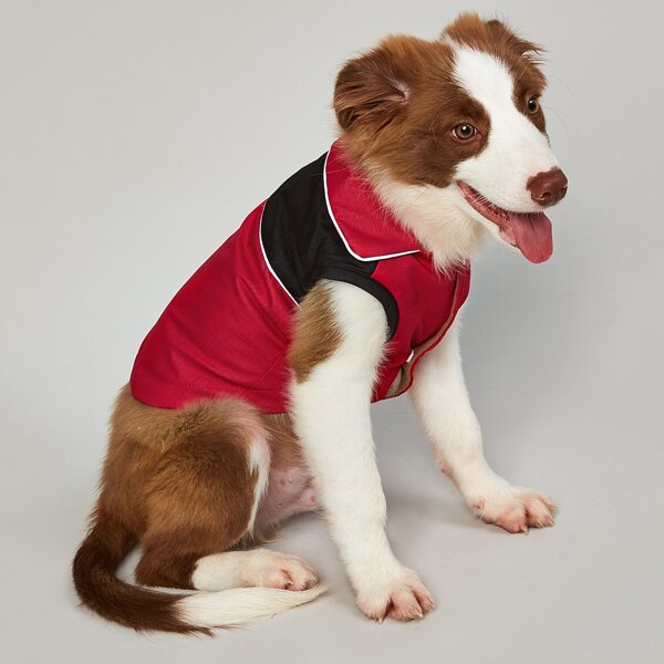 

Colorblock Dog Jacket, Red