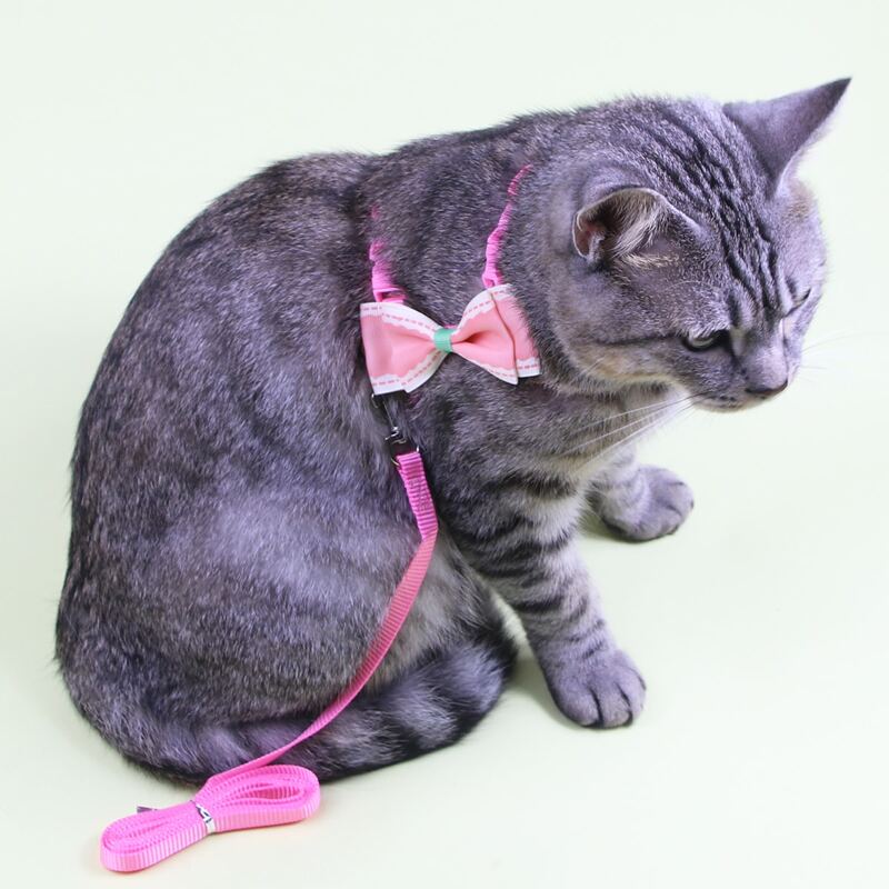 

1pc Bow Decor Cat Harness & 1pc Cat Leash, Pink