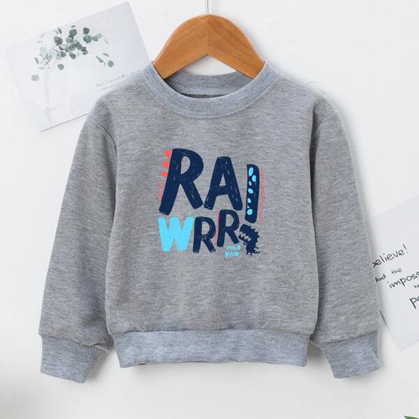 

Toddler Boys Dinosaur And Letter Graphic Sweatshirt, Grey