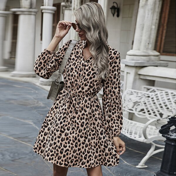 

Leopard Print Drawstring Waist Shirt Dress, Multicolor