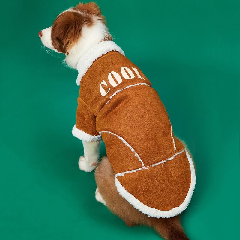 

Letter Graphic Dog Coat, Brown