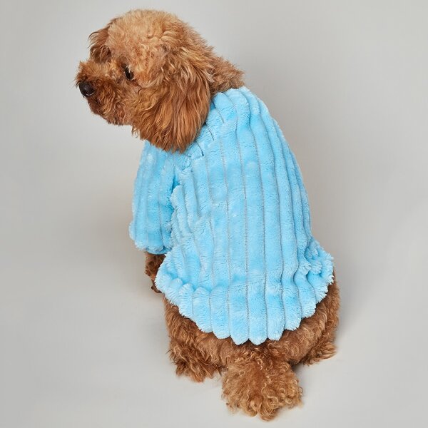 

Solid Dog Sweatshirt, Blue