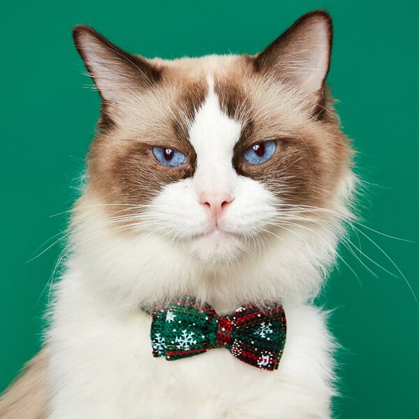 

1pc Cat Christmas Bow Tie, Green