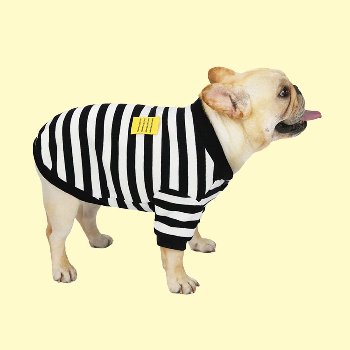 

Striped Dog Coat, Black and white