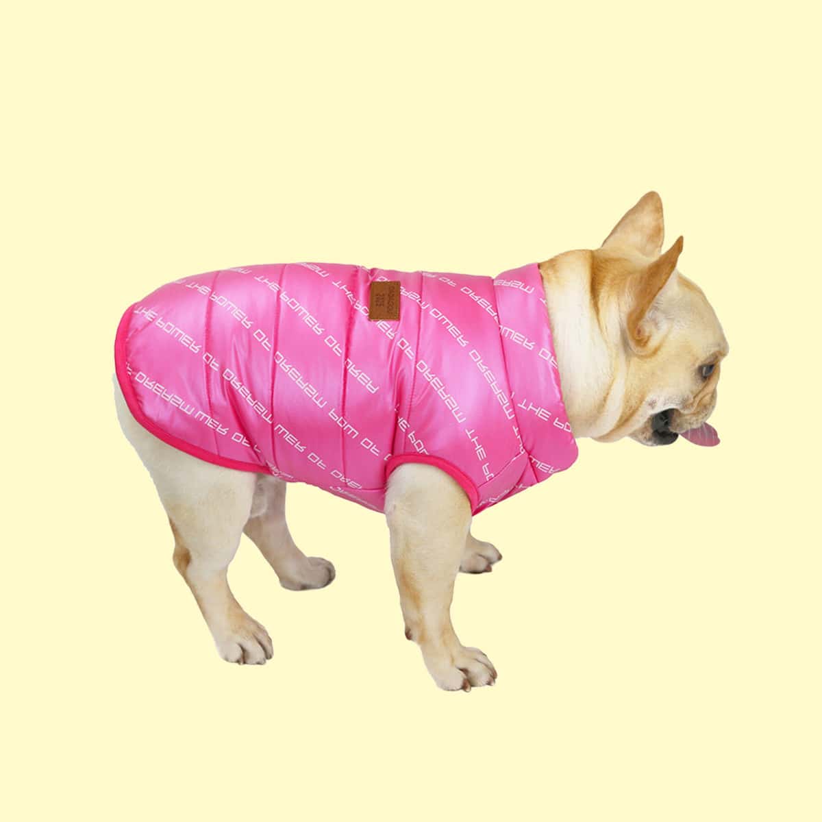 

Letter Graphic Dog Jacket, Hot pink