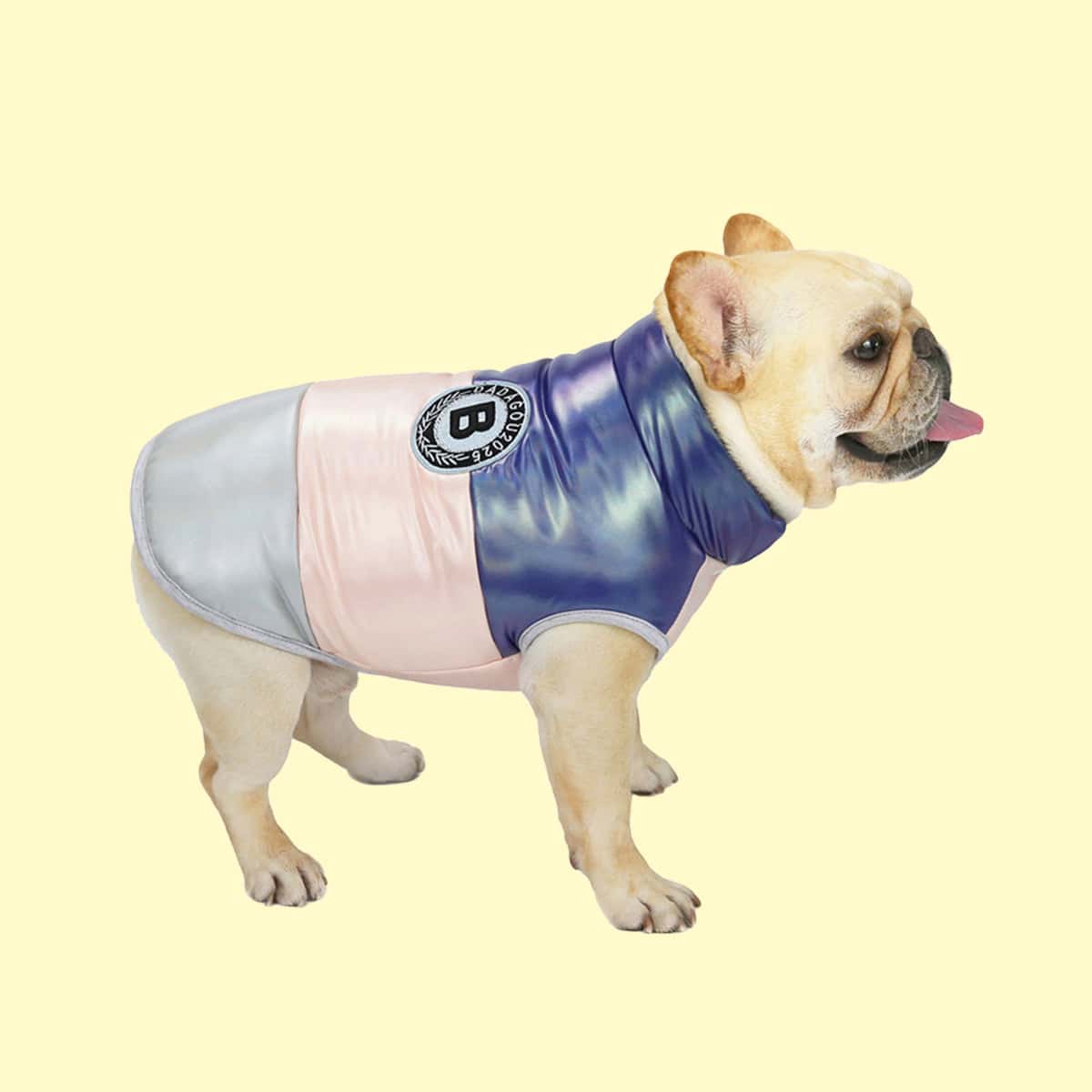 

Colorblock Dog Jacket, Pink