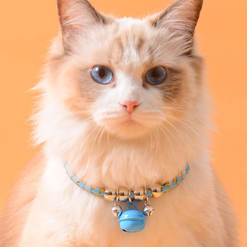 

Bell Decor Braided Cat Necklace, Blue