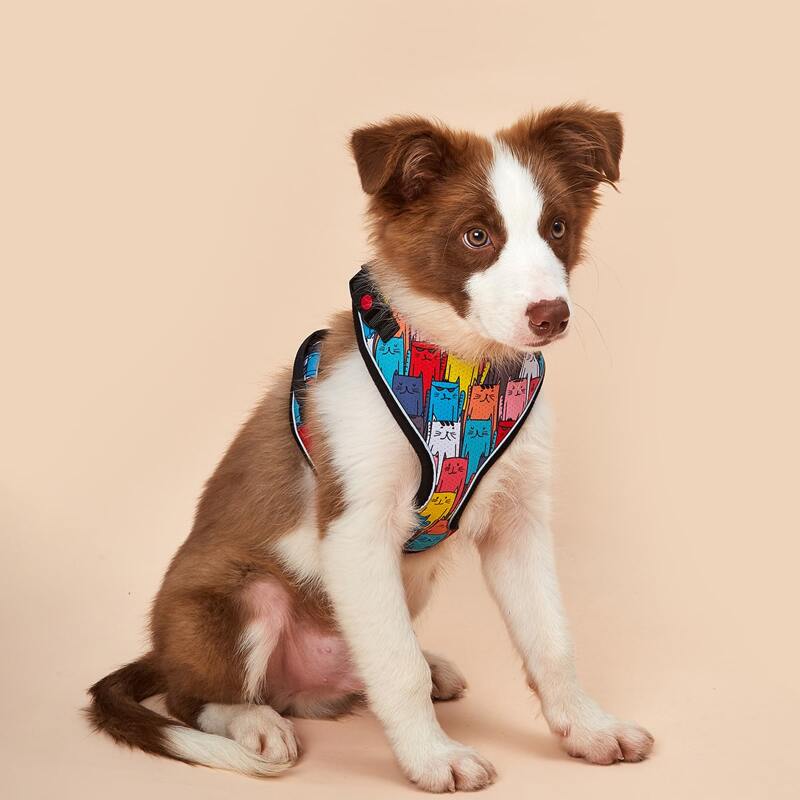 

Cartoon Graphic Dog Harness, Multicolor