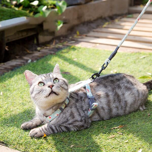 

1pc Floral Cat Harness & 1pc Cat Leash, Blue
