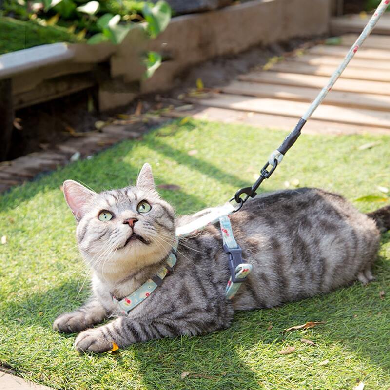 

1pc Floral Cat Harness & 1pc Cat Leash, Blue
